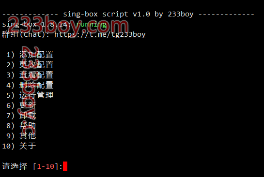 sing-box DNS 设置